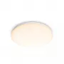 Lámpara de techo Philips Functional, LED, bombilla no reemplazable, 2700 K, 1700 lm, IP20, blanco