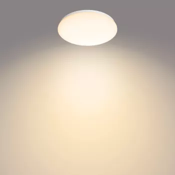 Lámpara de techo Philips Functional, LED, bombilla no reemplazable, 2700 K, 1700 lm, IP20, blanco
