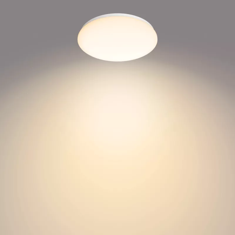 Lámpara de techo Philips Functional, LED, bombilla no reemplazable, 2700 K, 1700 lm, IP20, blanco