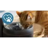 Fuente de agua automática para mascotas Philips serie 3000 PAW3210/02, 2,2 L, USB/AC, negra, plástico