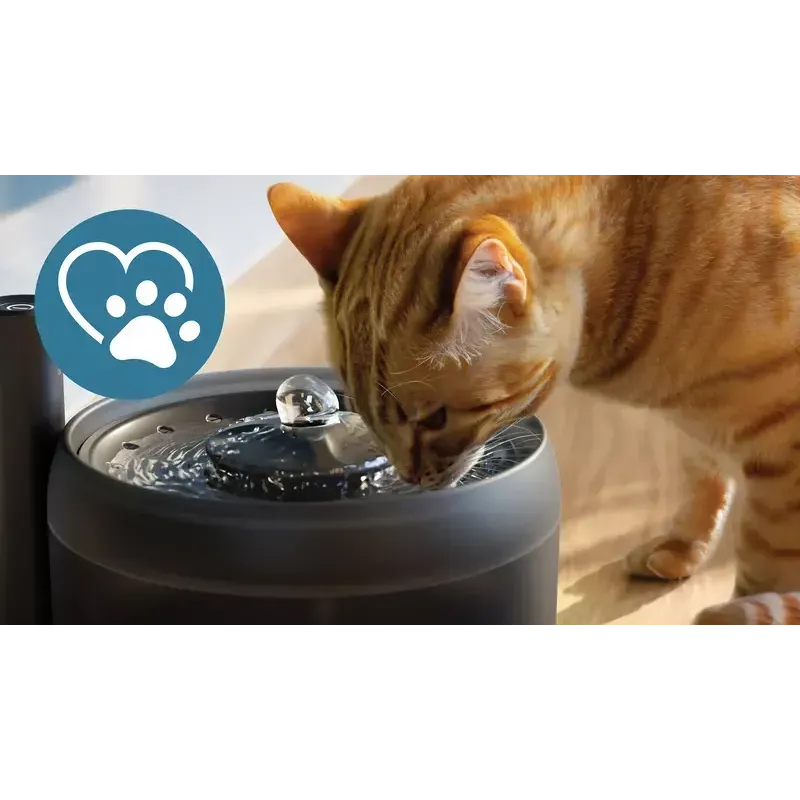 Fuente de agua automática para mascotas Philips serie 3000 PAW3210/02, 2,2 L, USB/AC, negra, plástico