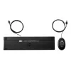 HP Wired Desktop 320MK ratón y teclado tamaño completo USB con cable negro