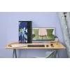 Combinación de ratón y teclado inalámbricos HP 230, negro, ratón incluido