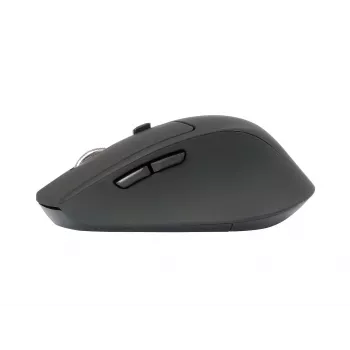 Ratón ergonómico Conceptronic LORCAN02B oficina diestro Bluetooth óptico 1600 DPI