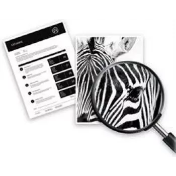 Cartucho de tinta original HP 950XL negro de alta capacidad 2.300 páginas pack de 1 Officejet