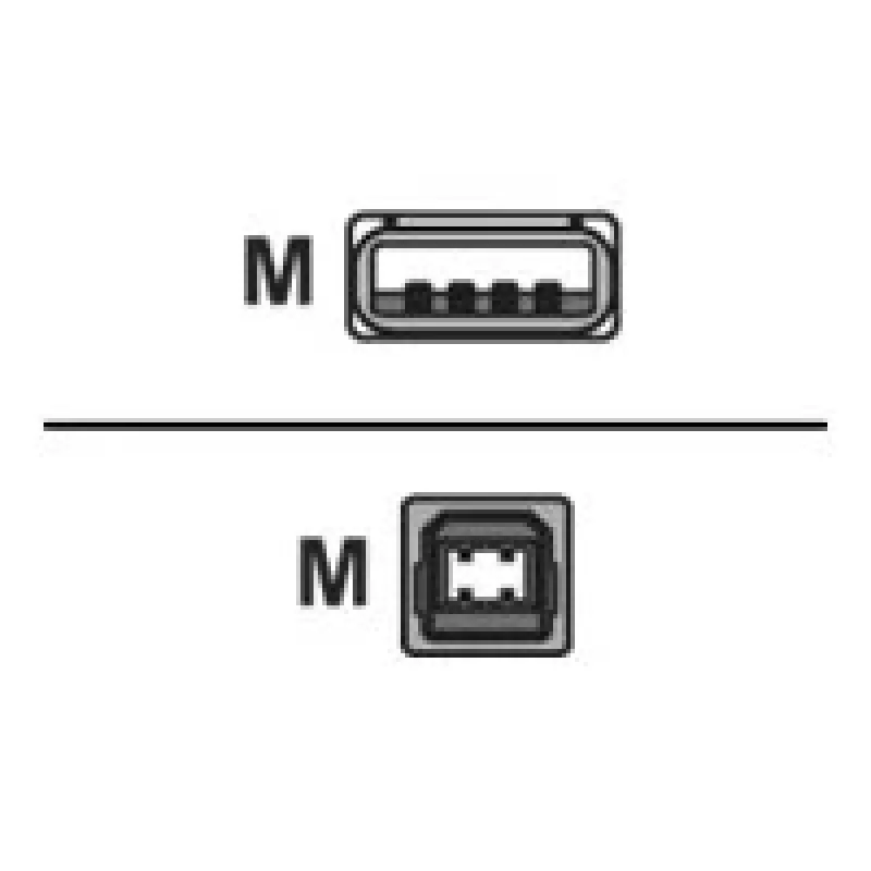 Logilink cable de conexión USB 2.0 USB-A a USB-B conector macho USB A conector macho USB B