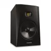 T8V - Monitor activo