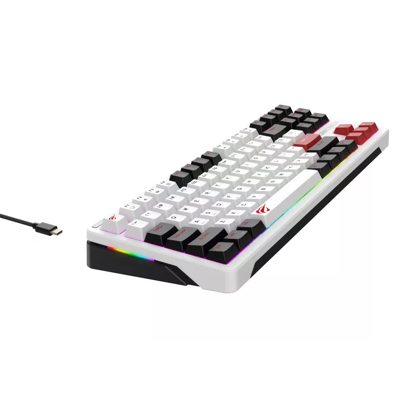 Teclado gaming Havit KB902L 80% con cable USB QWERTY 88 teclas RGB LED