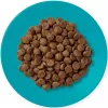 APPLAWS Adult Ocean fish with salmon - pienso para gatos - 1,8kg