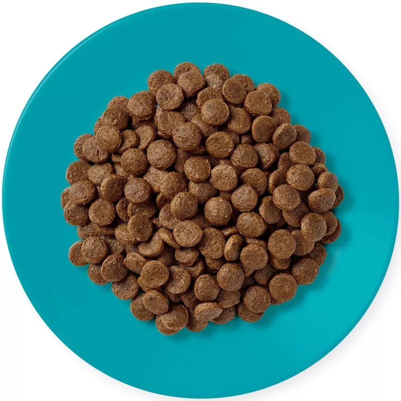 APPLAWS Adult Ocean fish with salmon - pienso para gatos - 1,8kg