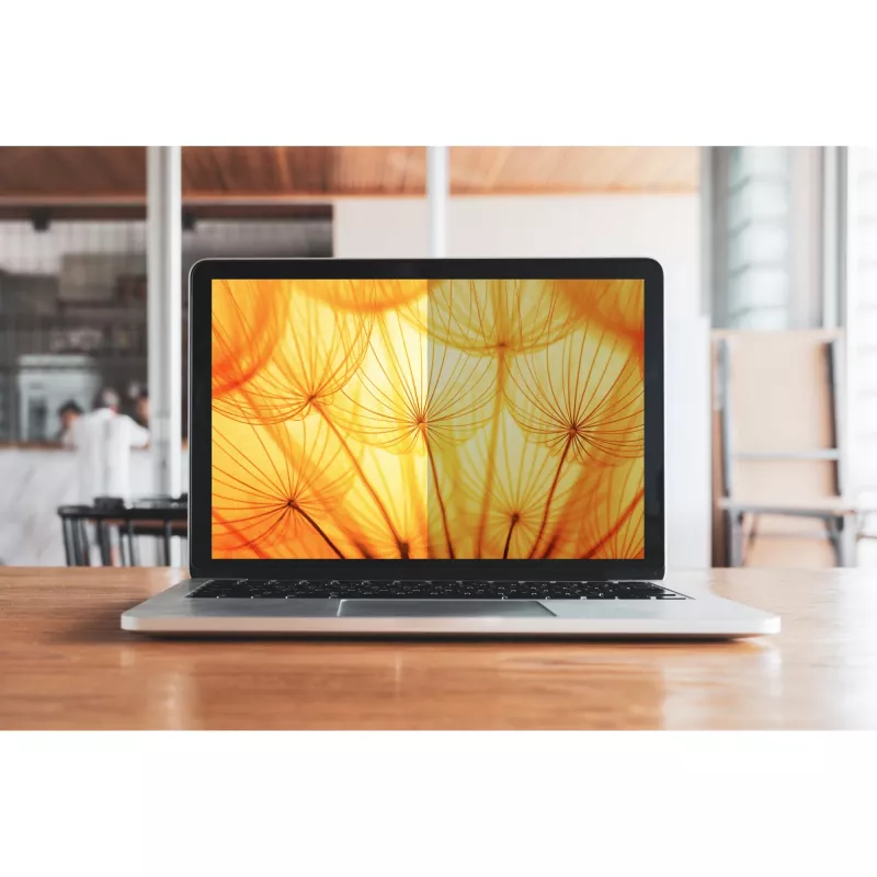 3M - Filtro de privacidad para portátil - pantalla clara - autoadhesivo - 34,2 cm (13.5) - para Microsoft Surface Laptop (13.5), Laptop 2 (13.5) (7100287810)