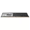Memoria Signature PSD516G520081, 16 GB, 1 x 16 GB, DDR5, 5200 MHz, 288-pin DIMM