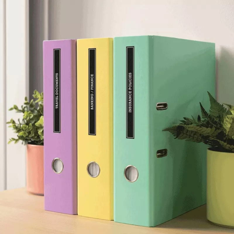 Brother PT-N25BT impresora de etiquetas con conectividad Bluetooth, dispositivo de mano compacto