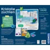 Cultivo de cristales, kit de experimentos