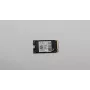 256 GB SSD M.2 2242 PCIe 4.0 NVMe