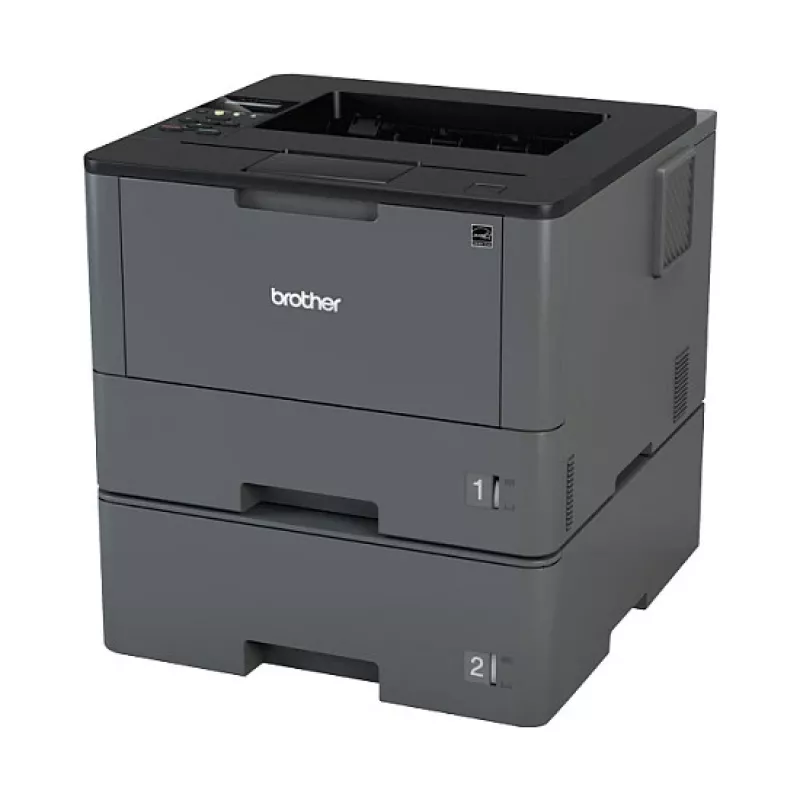 Impresora Brother HL-L5100DNT láser negro