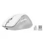 Speedlink LIBERA Ratón inalámbrico Bluetooth silencioso recargable blanco