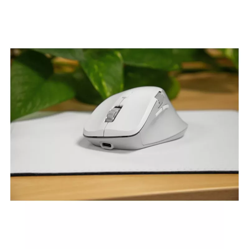 Speedlink LIBERA Ratón inalámbrico Bluetooth silencioso recargable blanco