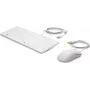 HP teclado y ratón USB Healthcare Edition tamaño completo con cable blanco