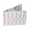 Vetfood Amylactiv Balance complemento digestivo para perros y gatos 60 cápsulas