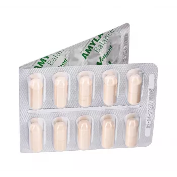 Vetfood Amylactiv Balance complemento digestivo para perros y gatos 60 cápsulas
