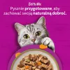 Comida húmeda para gatos Whiskas Tasty Mix Chef's Selection en salsa 40×85 g bolsas