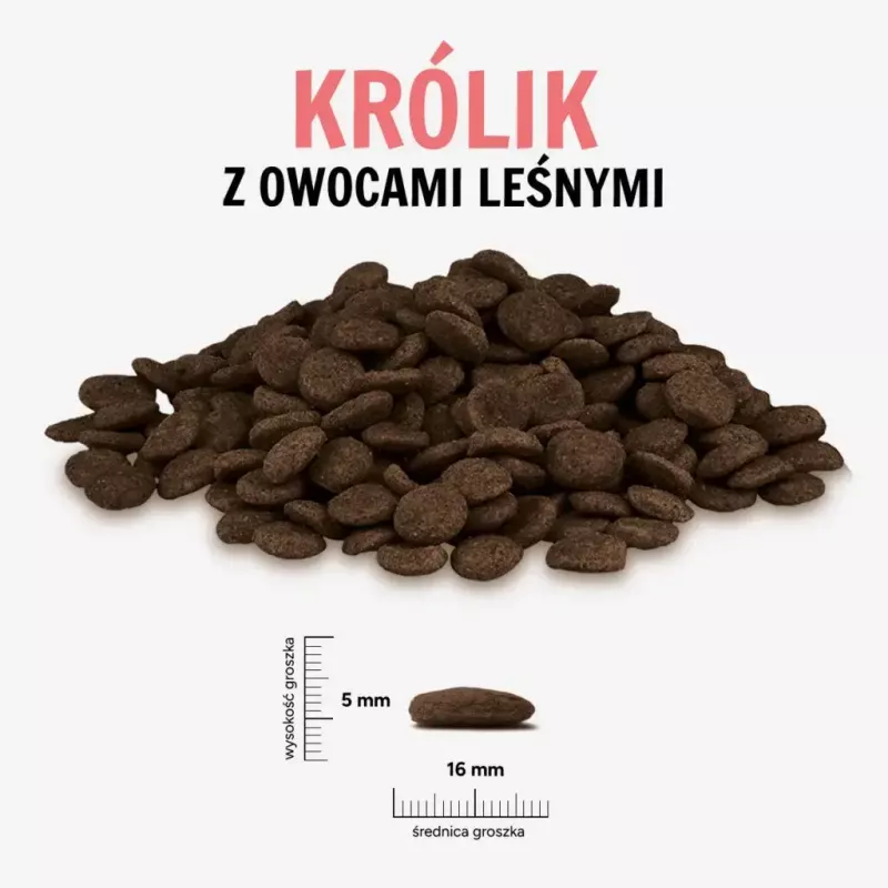 PAKA ZWIERZAKA conejo con frutos del bosque comida seca L 1,5 kg