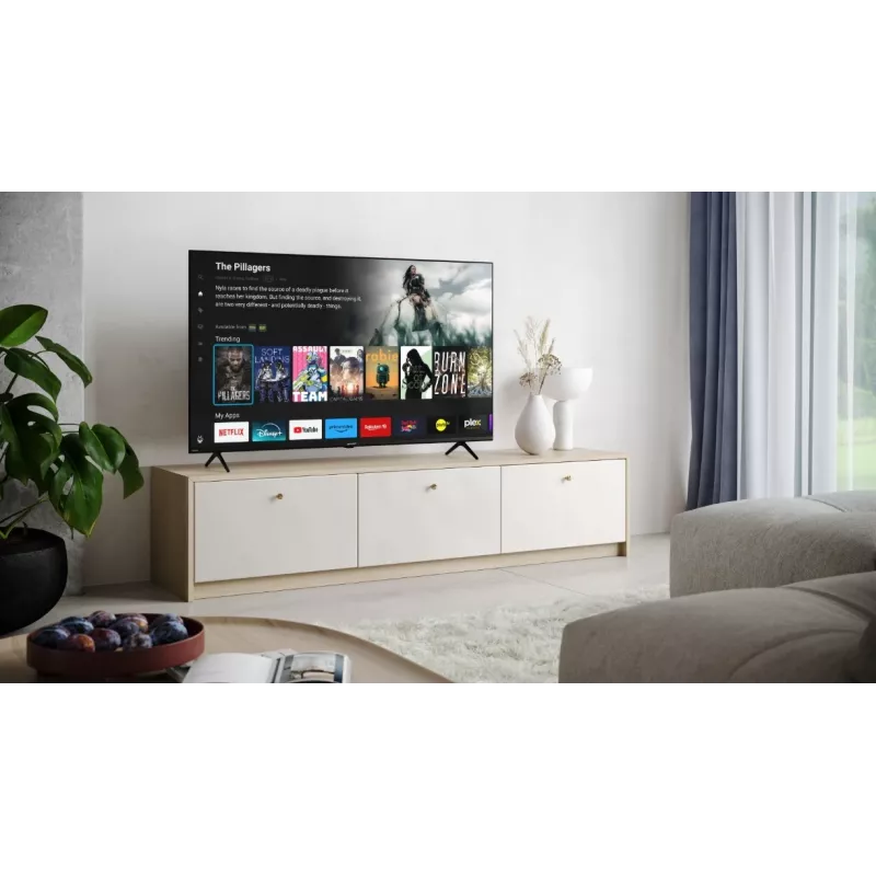 TV LED 55