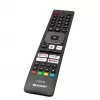 TV LED 55