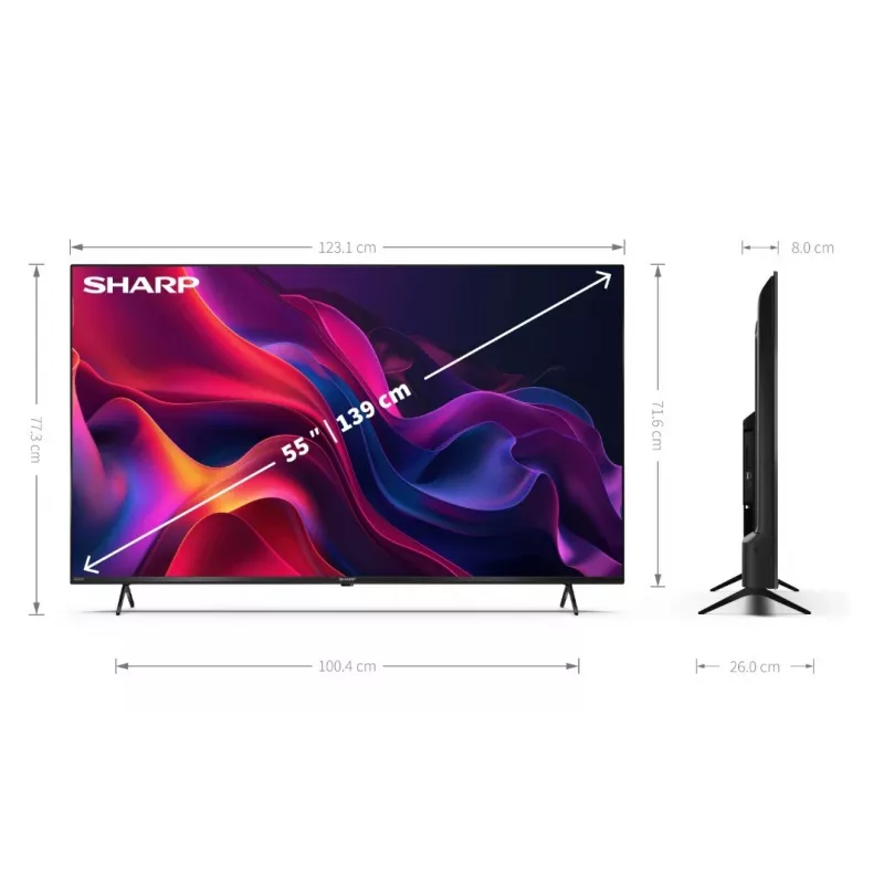 TV LED 55
