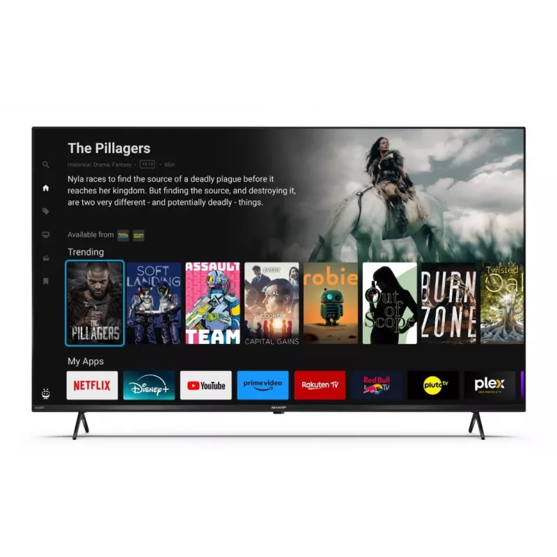 TV LED 55