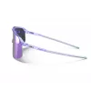 Gafas de sol Julbo DENSITY Modelo 964409 Talla L lentes violeta Categoría: Gafas de sol