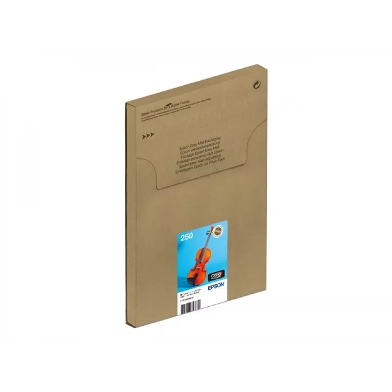 Multipack de cartuchos de tinta Epson 250 EasyMail pack de 6 original – negro, amarillo, cian, magenta, cian claro, magenta claro (MPN C13T16N84510)