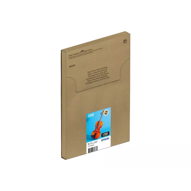 Multipack de cartuchos de tinta Epson 250 EasyMail pack de 6 original – negro, amarillo, cian, magenta, cian claro, magenta claro (MPN C13T16N84510)