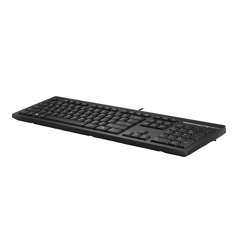 HP 125 teclado con cable tamaño completo USB membrana negro