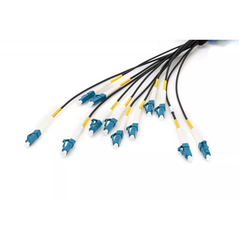 Cable breakout universal de fibra óptica preensamblado Digitus monomodo OS2 12 fibras LC/UPC 100 m