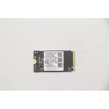 Lenovo 5SS0V42253 Unidad de estado sólido interna M.2 256 GB PCI Express (5SS0V42253)