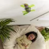HEX BOTS | Robot RC gecko trepador de pared interactivo de juguete | Verde/Gris