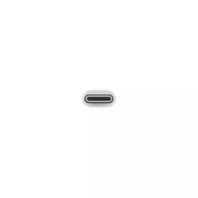 Adaptador Apple USB-C a USB MJ1M2ZM/A USB A USB C | Turime | ITwork