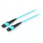 Equip Pro - Cable de conexión - MTP multimodo (W) - MTP multimodo (W) - 15,0 m - Fibra óptica - 50/125 micrómetros - OM4 - Aguamarina (25555707)