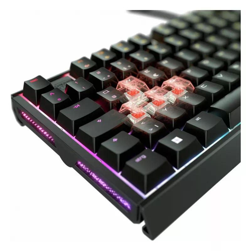 CHERRY XTRFY MX 3.1 teclado mecánico RGB, con cable, tamaño completo
