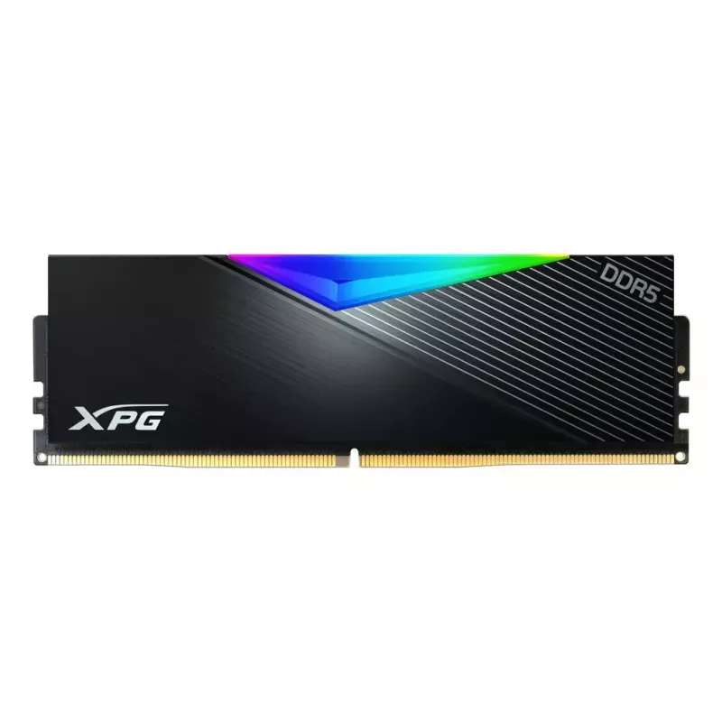 DIMM 16 GB DDR5-6000 (negro, AX5U6000C3016G-CLARBK, Lancer RGB, INTEL XMP)
