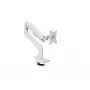 Soporte para monitor Arozzi AZ-ALZARE-NEO-WT blanco 9 kg VESA 75x75 100x100