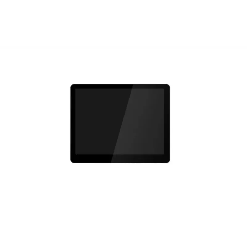 Monitor TPV Capture CA-M6-2NDDIS1 24,6 cm (9,7 pulgadas) XGA 1024×768 LCD, negro