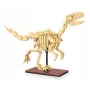 Set de construcción Jamara CaDA fósil de dinosaurio Velociraptor — 256 piezas, edad 8+, beige/marrón