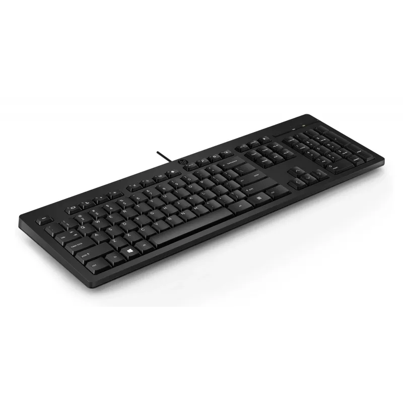 HP 125 Teclado con cable tamaño completo USB membrana Negro