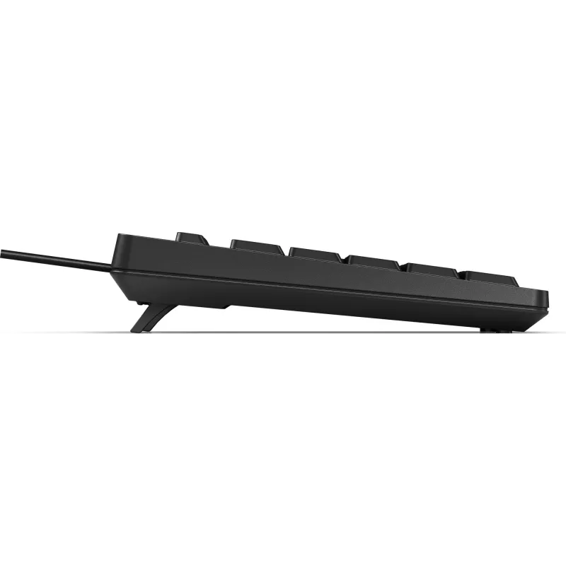 HP 125 Teclado con cable tamaño completo USB membrana Negro