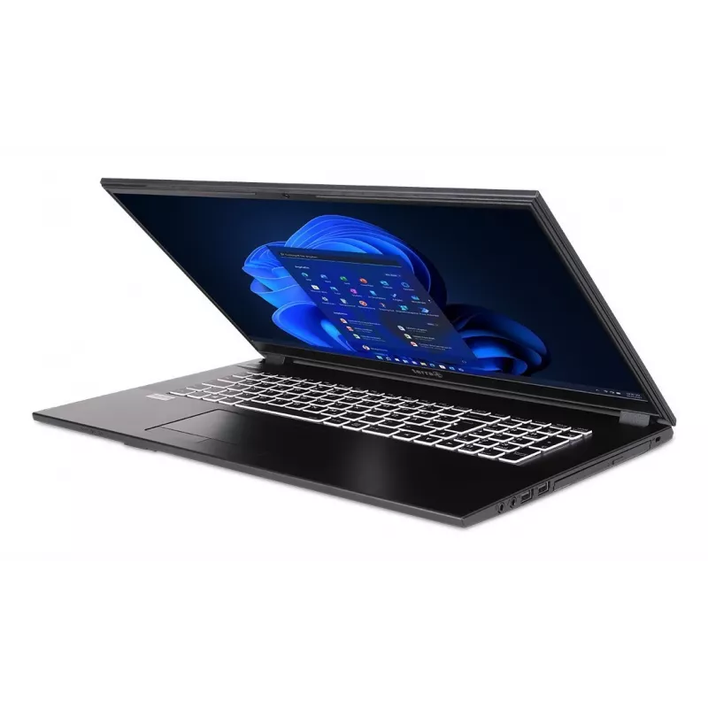 TERRA 1716R Portátil Intel® Core™ i3 i3-1315U 43,9 cm (17,3 inch) Full HD 8 GB DDR4-SDRAM 500 GB SSD Wi-Fi 6 (802.11ax) Windows 11 Home Gris
