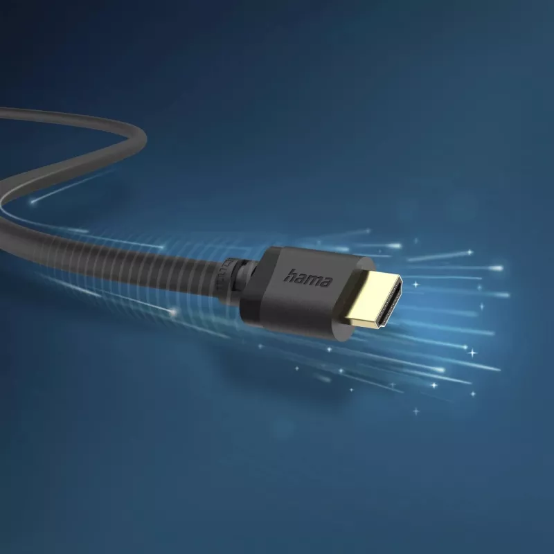 Cable HDMI Hama 00202029 3 m HDMI Tipo A (estándar) Negro