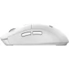 MSI FORGE K210 W COMBO WHITE US Teclado y ratón incluidos Home/Office USB QWERTY US English